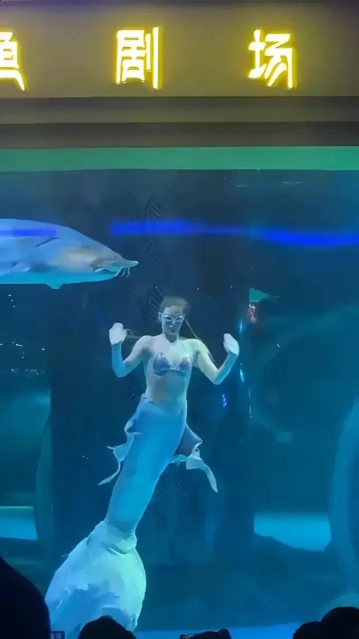 In a Chinese aquarium, a sturgeon attacked a Russian female animator.