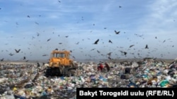 У Росії через затримання мігрантів розпочався сміттєвий колапс